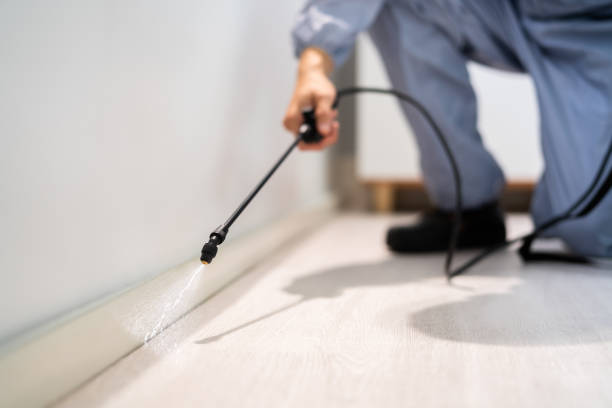 Professional exterminator conducting IPM assessment in Prestbury